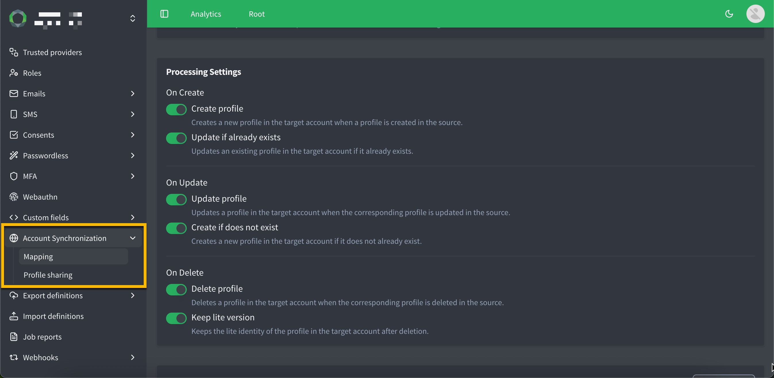 ice mapping processing settings
